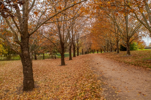 Moulder Park